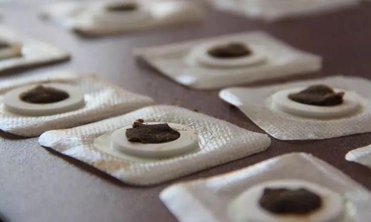 寻找三伏贴厂家？我们是您最佳的选择！